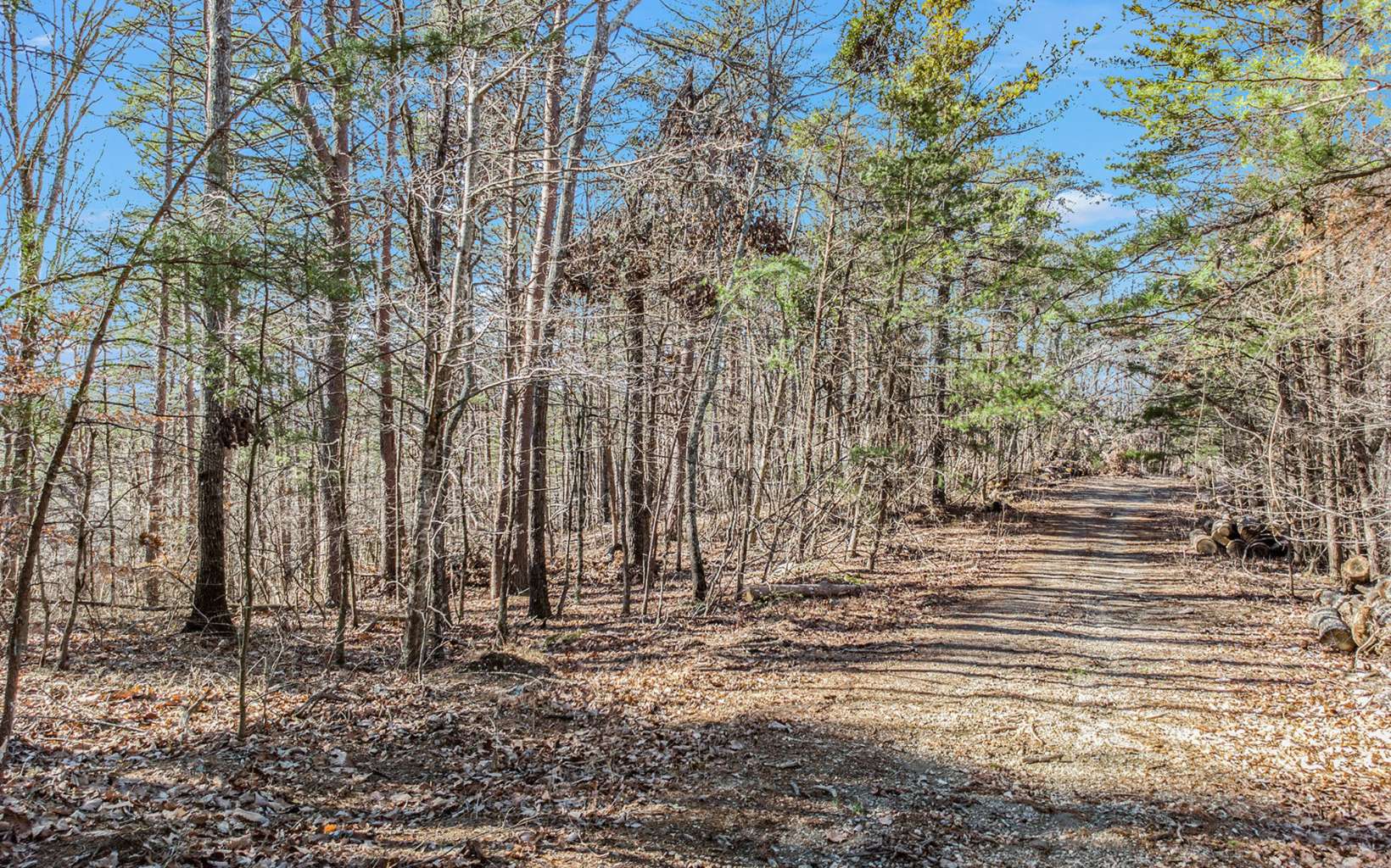 Lt374 Quartz Court Jasper, GA 30143 - Photo 5 of 20 Additional View