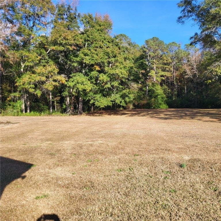 2401 South Phillips Road Lanett, AL 36863 - Photo 29 of 30 Gallery Image 29