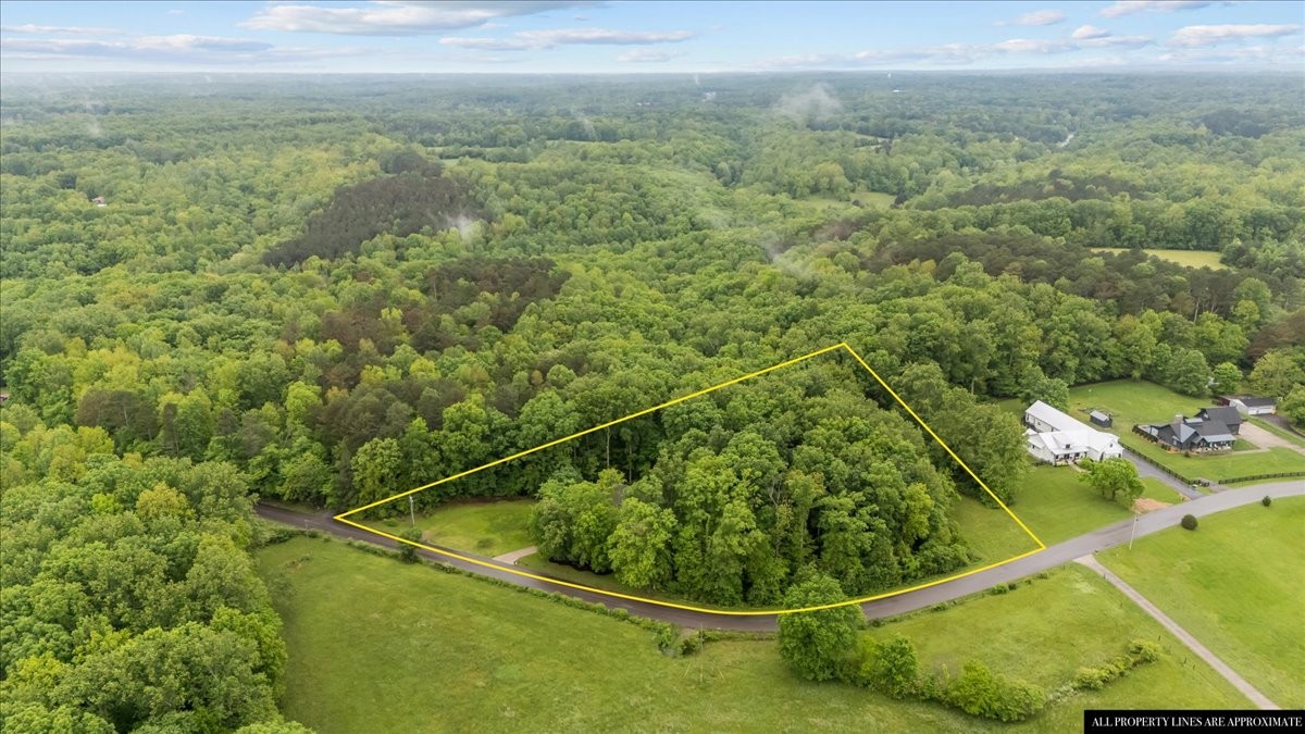 7327 Hunting Camp Road Fairview, TN 37062 - Photo 4 of 83