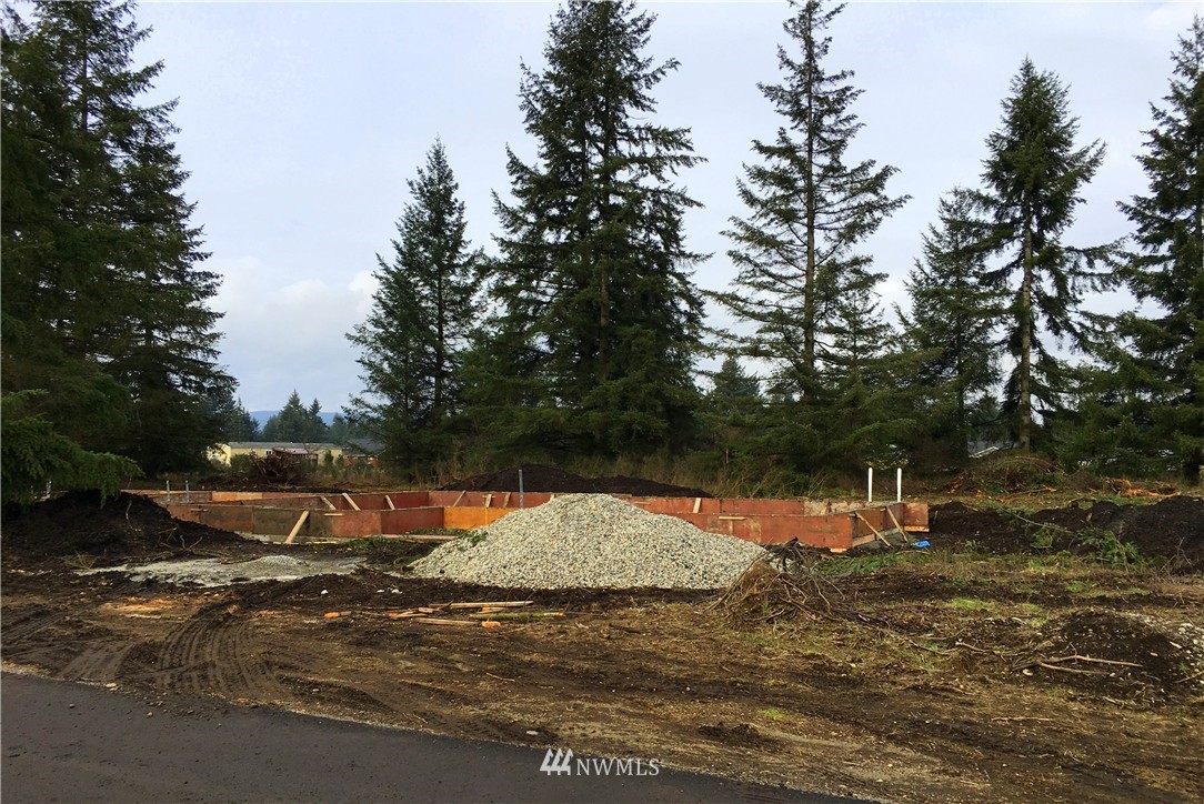 9238 180th Lane Southwest Rochester, WA 98579 - Photo 6 of 6