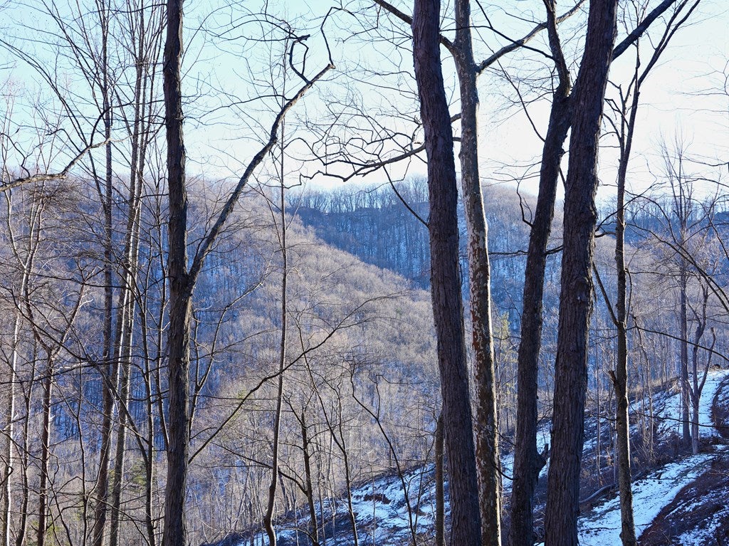 Tbd Shooting Crk Road Ferrum, VA 24088 - Photo 47 of 59 Gallery Image 47