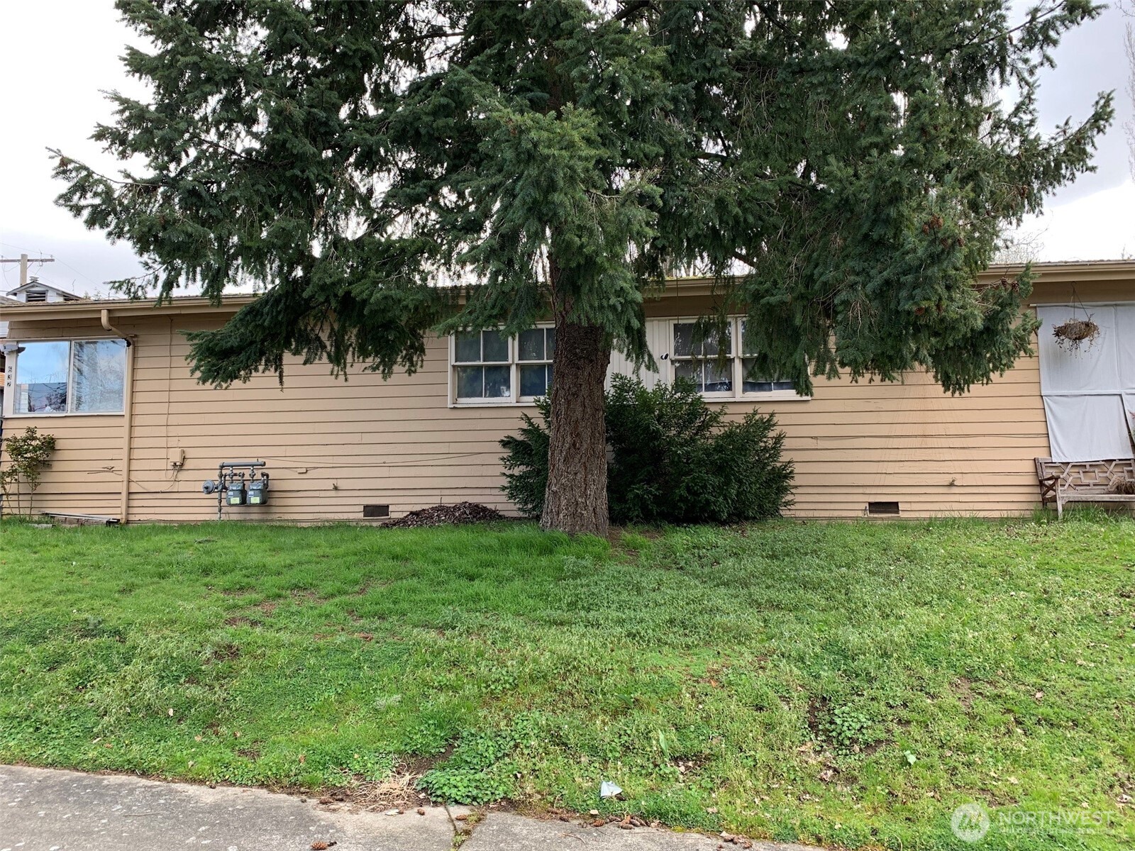632 Index Avenue Northeast Renton, WA 98056 - Photo 2 of 13 a front view of a house with a yard