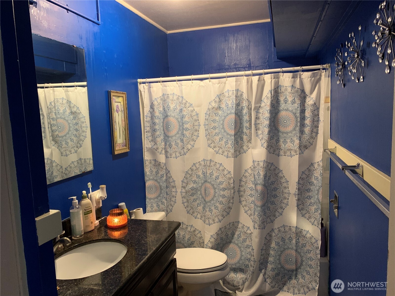 632 Index Avenue Northeast Renton, WA 98056 - Photo 10 of 13 a bathroom with a toilet a sink and a mirror