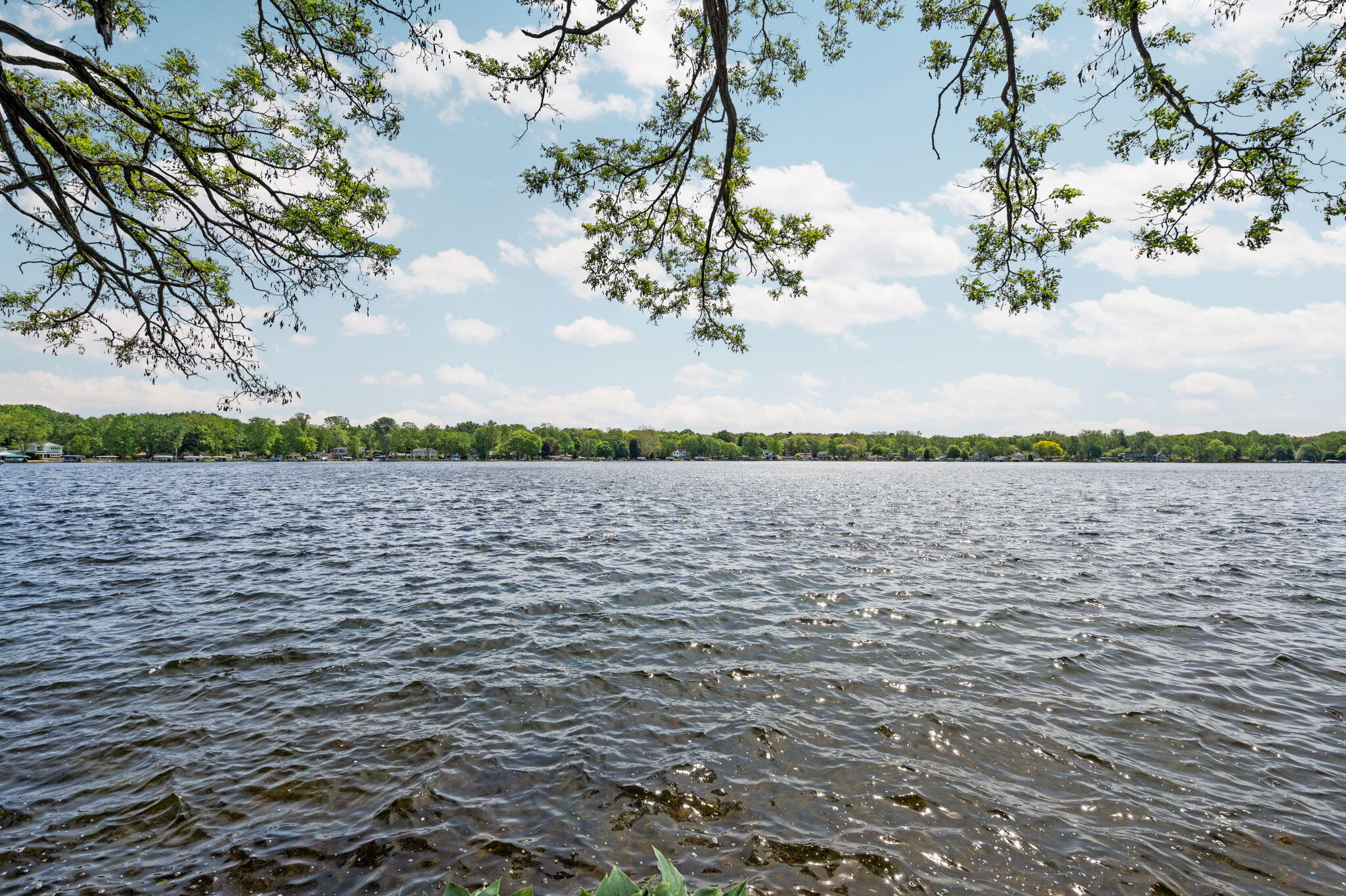 11247 Colony Pinckney, MI 48169 - Photo 53 of 67 146-web-or-mls-DSC01180