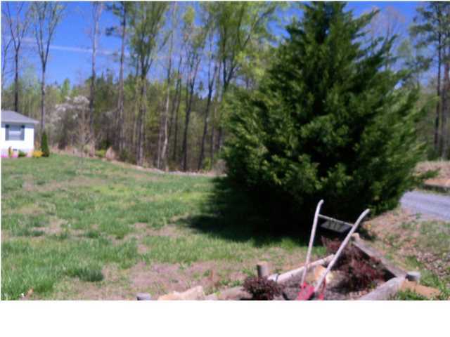 317 Watson Road Northeast Cleveland, TN 37323 - Photo 25 of 29 Additional Photo