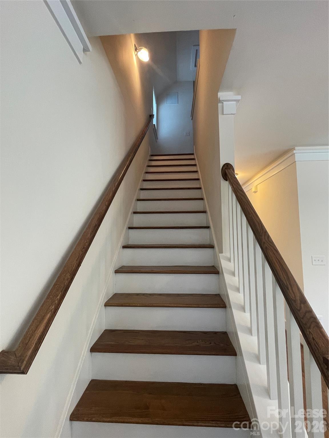 347 Spring Street Davidson, NC 28036 - Photo 28 of 44 Gallery Image 28