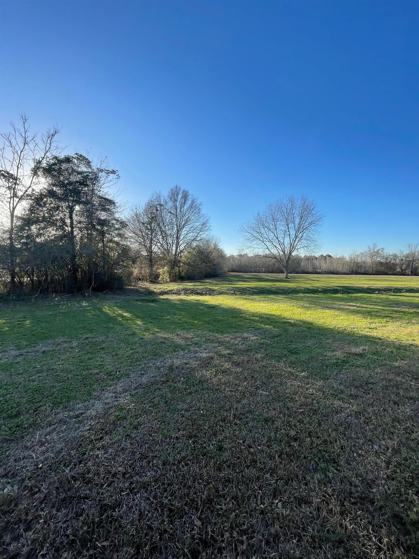 0 George Boles Road Andalusia, AL 36421 - Photo 2 of 8 Gallery Image 2