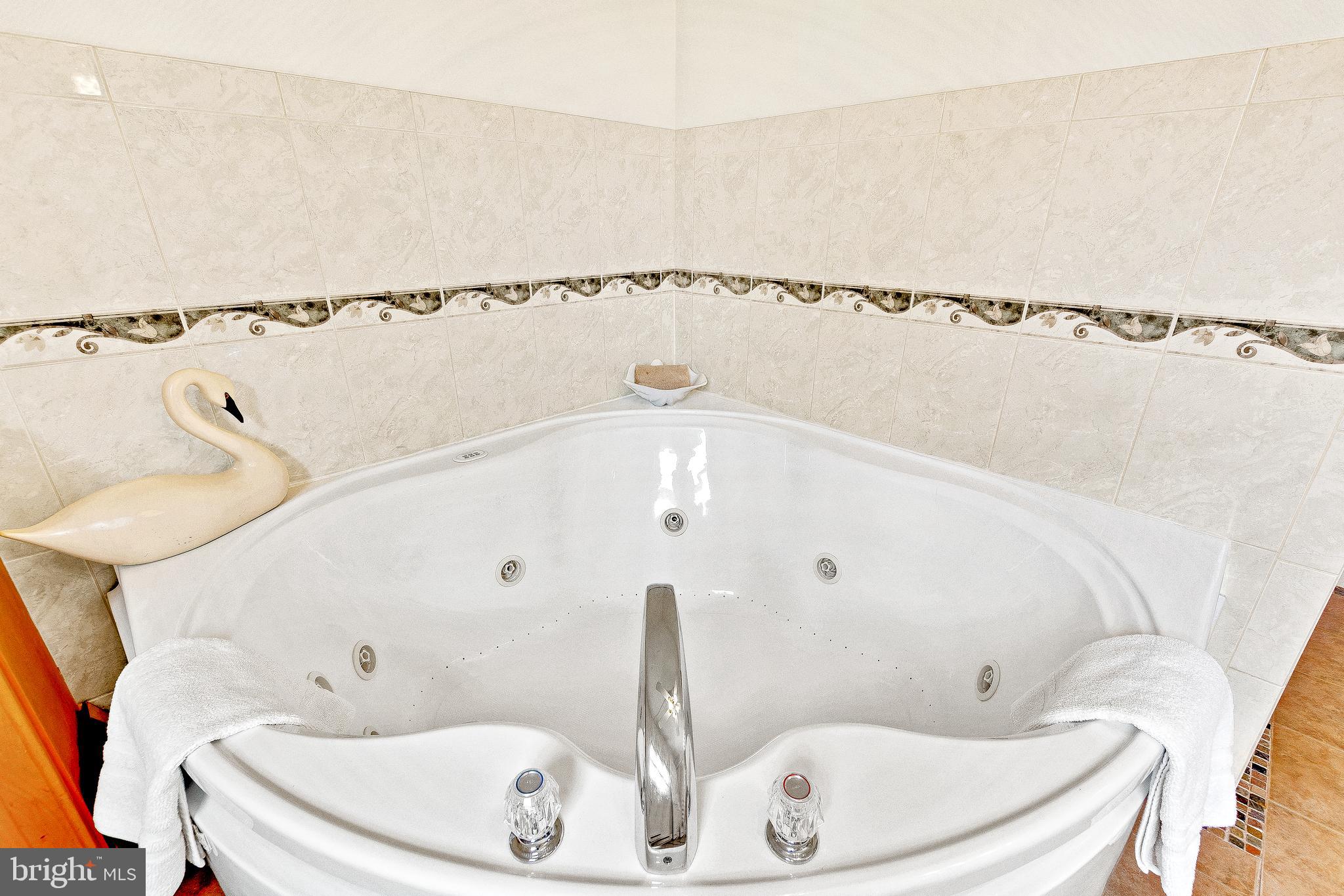 1070 Clay Hammond Road Prince Frederick, MD 20678 - Photo 41 of 81 Jacuzzi Tub!