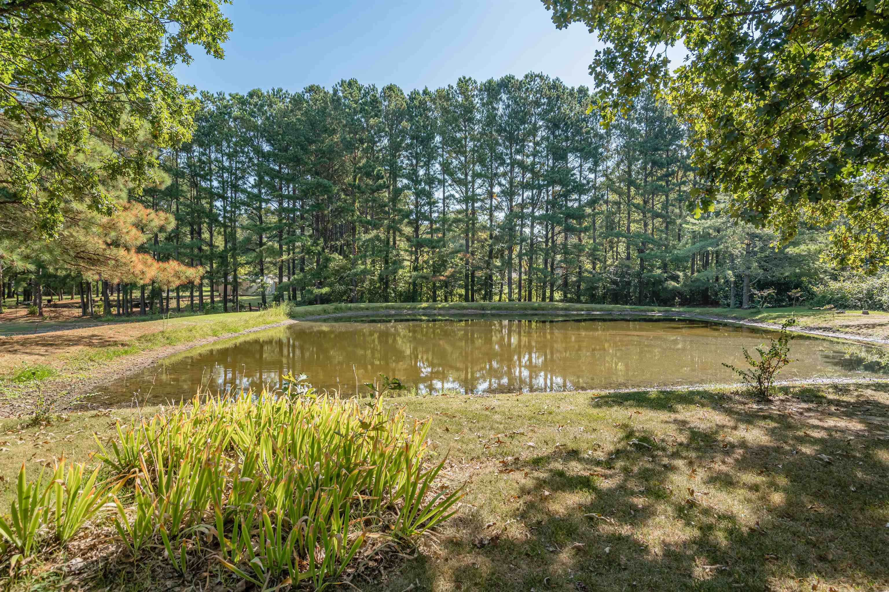 74 West Sweetwater Road Byhalia, MS 38611 - Photo 29 of 31 Gallery Image 29