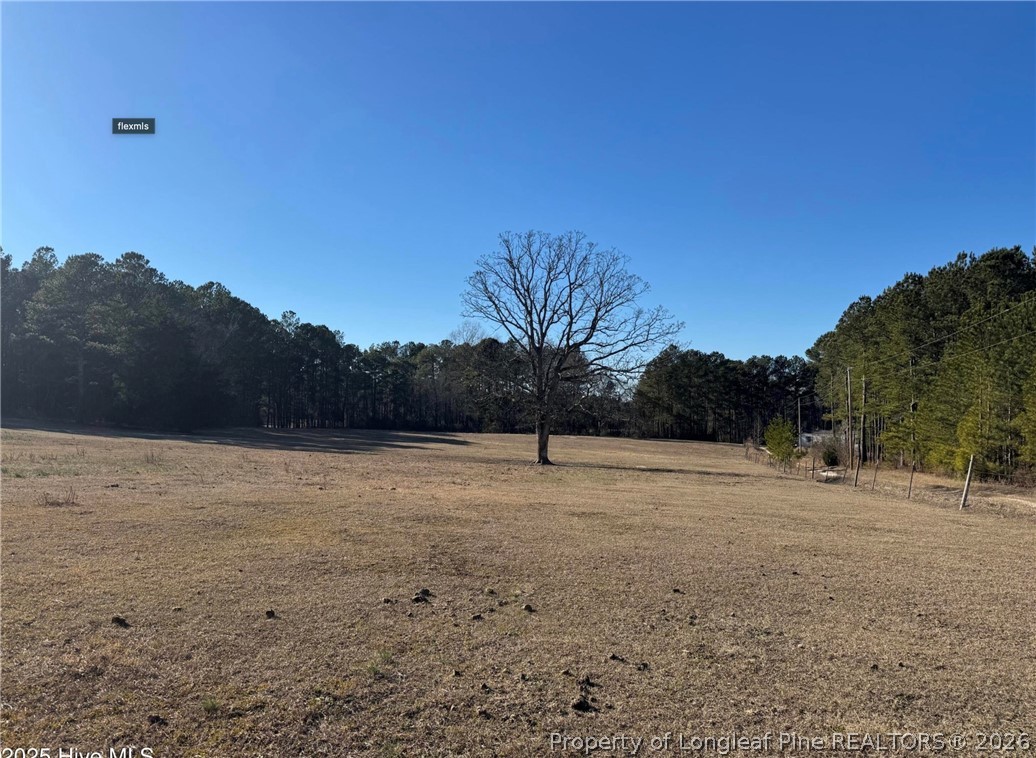 490 Springhill Church Road Hamlet, NC 28345 - Photo 5 of 24 Gallery Image 5
