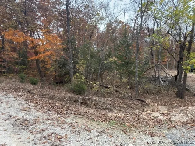 $10,000 | Henry Arces Road, Lincoln, MO 65338