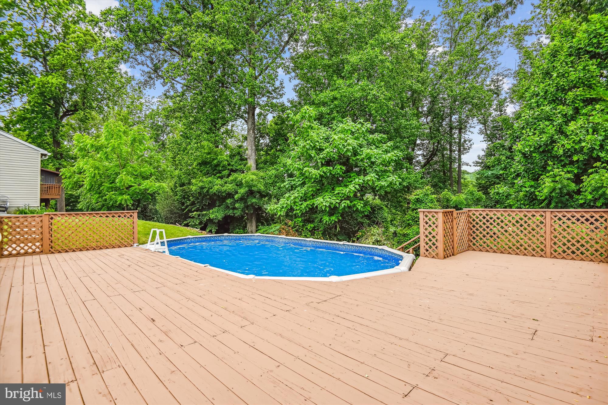 1302 Terry Way Fallston, MD 21047 - Photo 6 of 51 a view of a swimming pool and trees