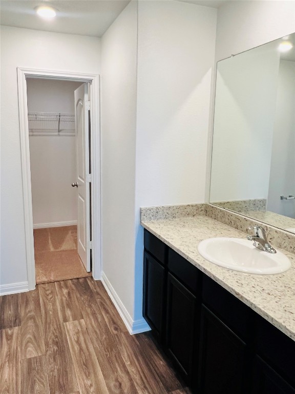 117 Maywood Lane Jarrell, TX 76537 - Photo 5 of 5 Bathroom with vanity, wood finished floors, and a walk in closet