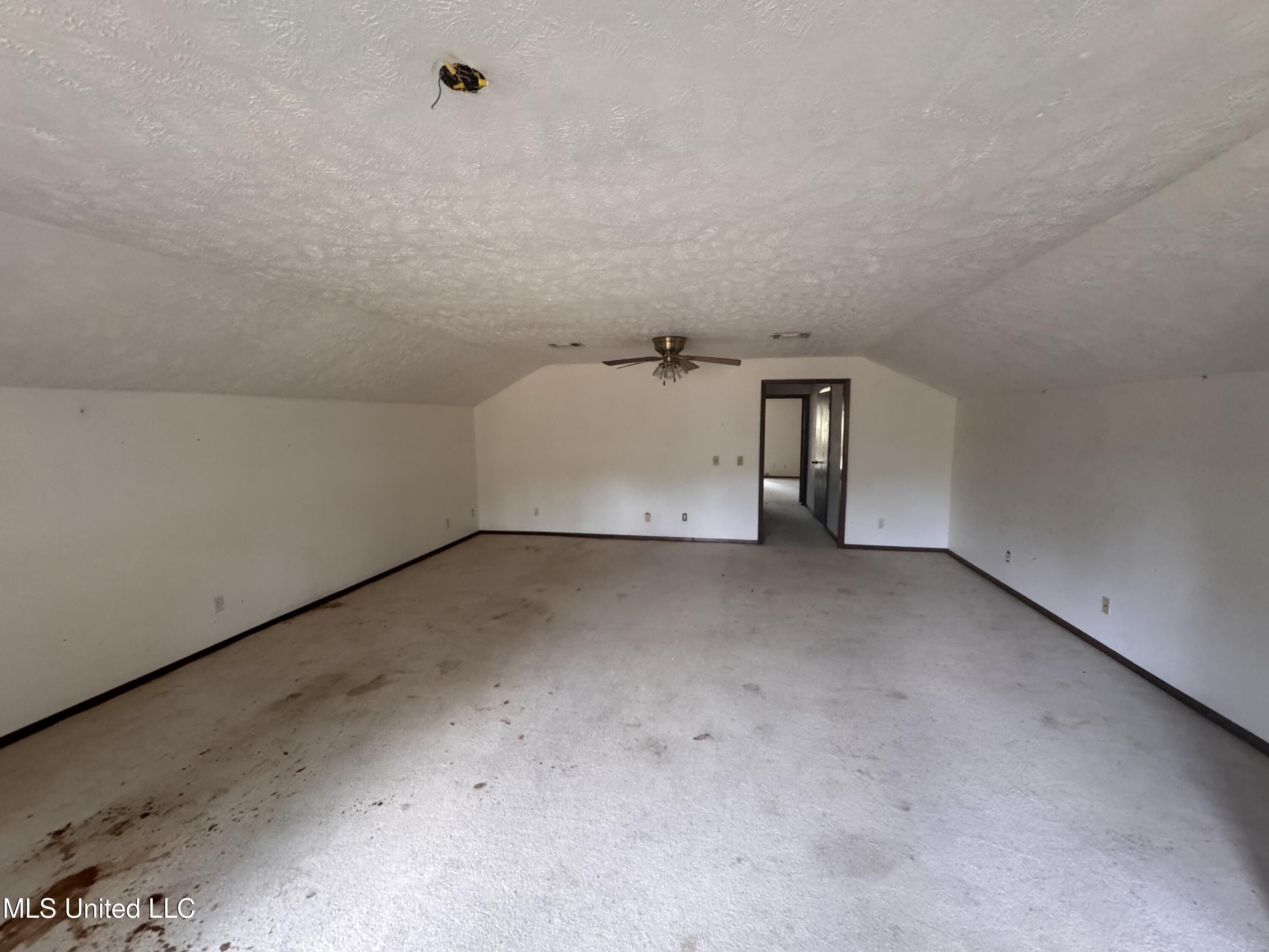 2169 Highway 429 Carthage, MS 39051 - Photo 11 of 14 IMG_4700