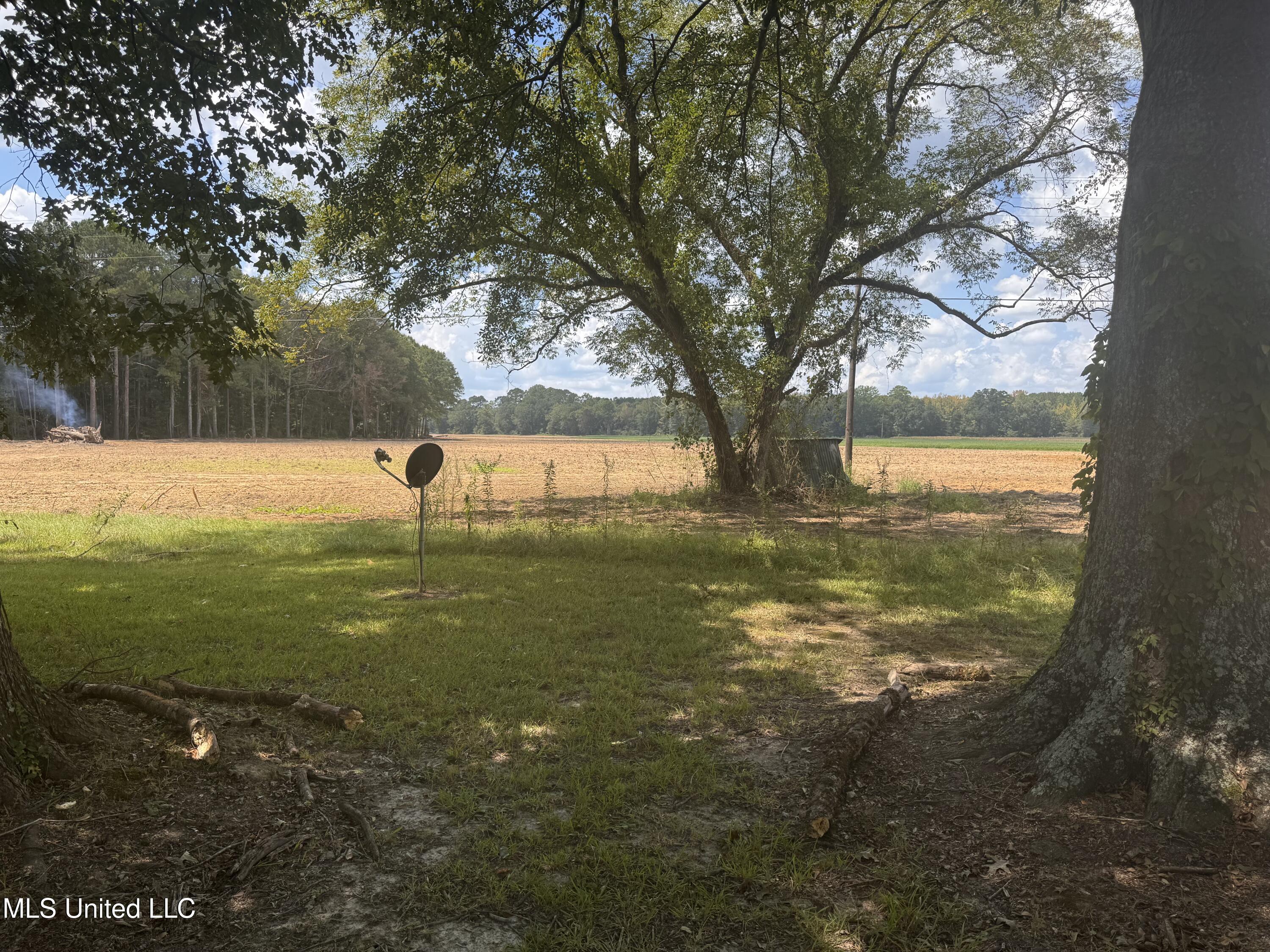 2169 Highway 429 Carthage, MS 39051 - Photo 14 of 14 IMG_4703