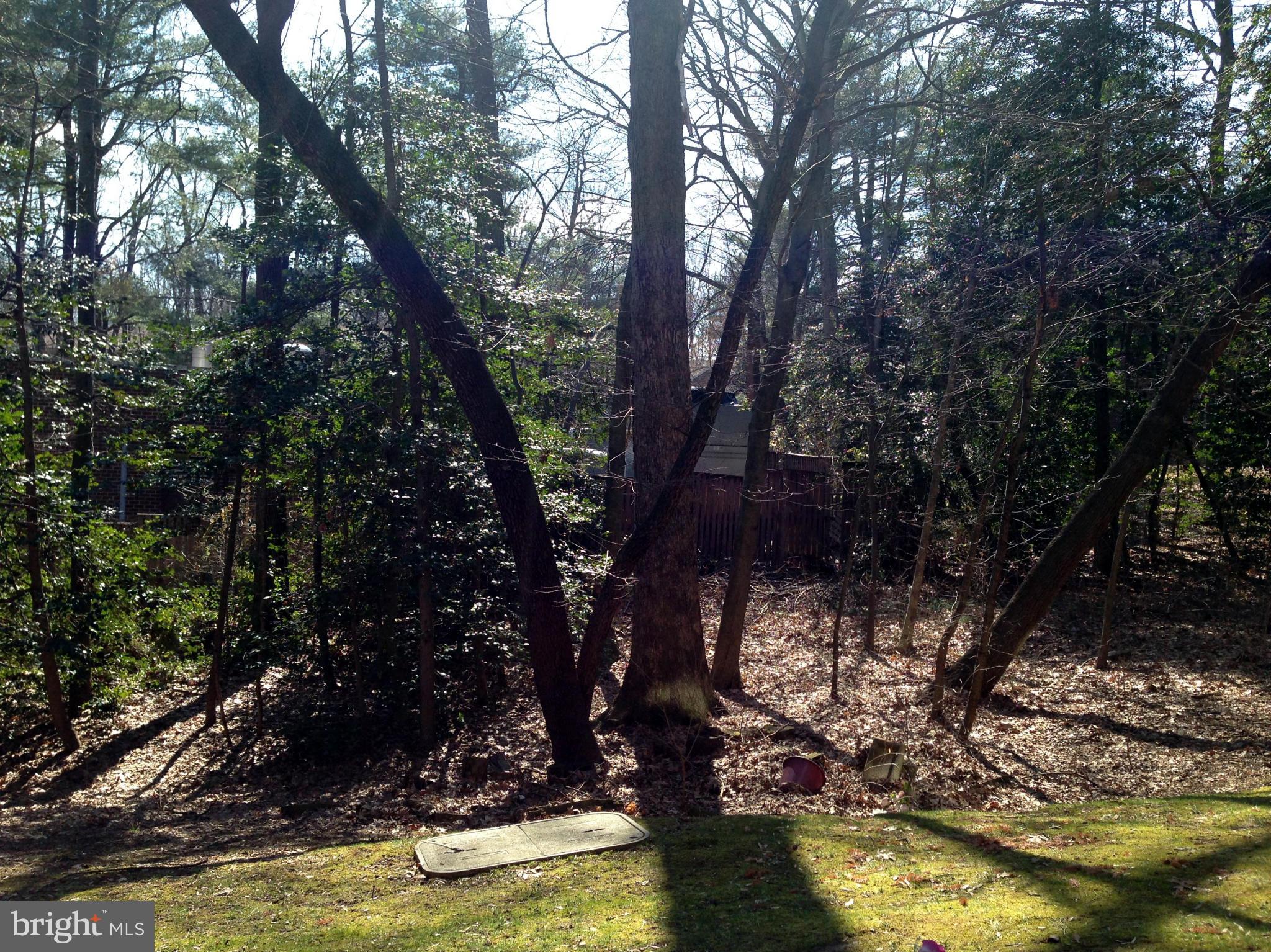 1411 Northgate Square, Unit 2A Reston, VA 20190 - Photo 22 of 26 View from your patio