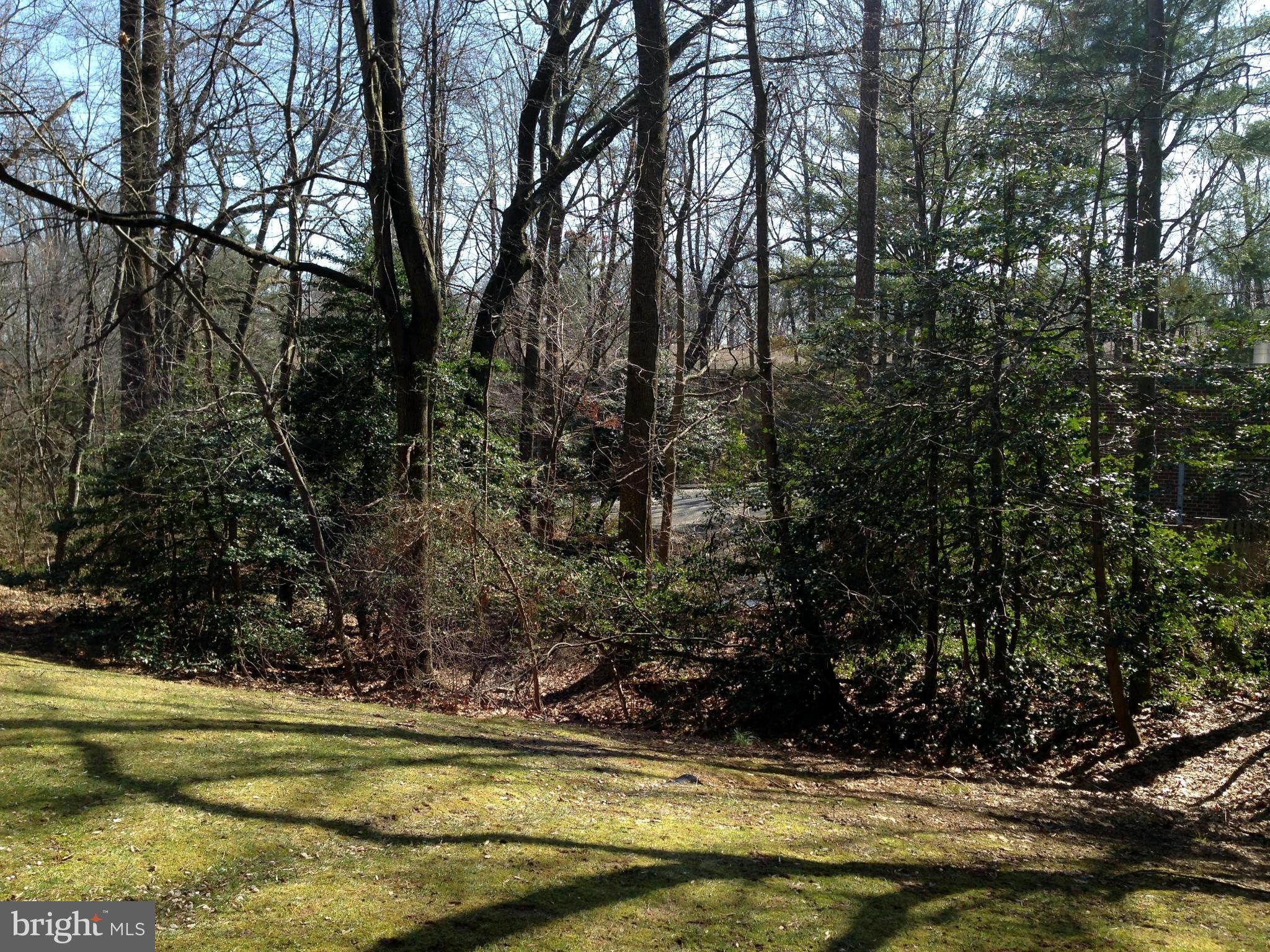 1411 Northgate Square, Unit 2A Reston, VA 20190 - Photo 23 of 26 View from your patio