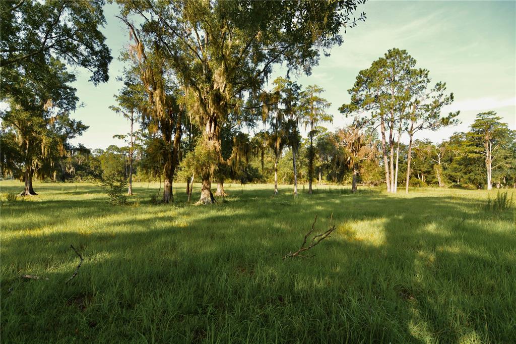 4802 Northwest 50th Road Starke, FL 32091 - Photo 60 of 75 Gallery Image 60