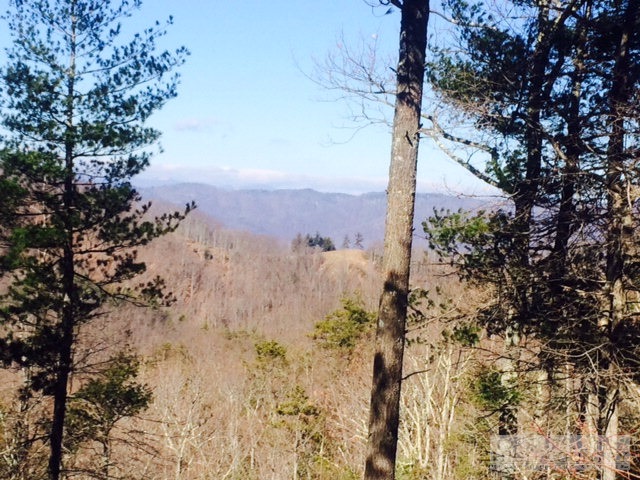 Lot 354 Pepperoot Road Boone, NC 28607 - Photo 1 of 6
