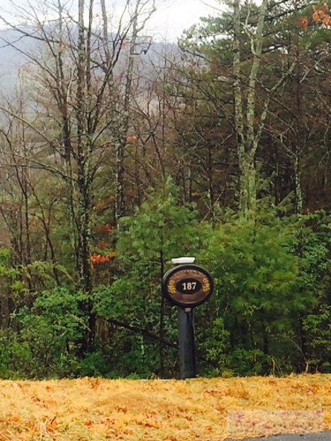 Lot 354 Pepperoot Road Boone, NC 28607 - Photo 3 of 6