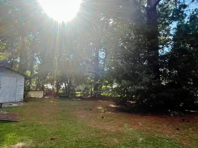 a view of yard with trees