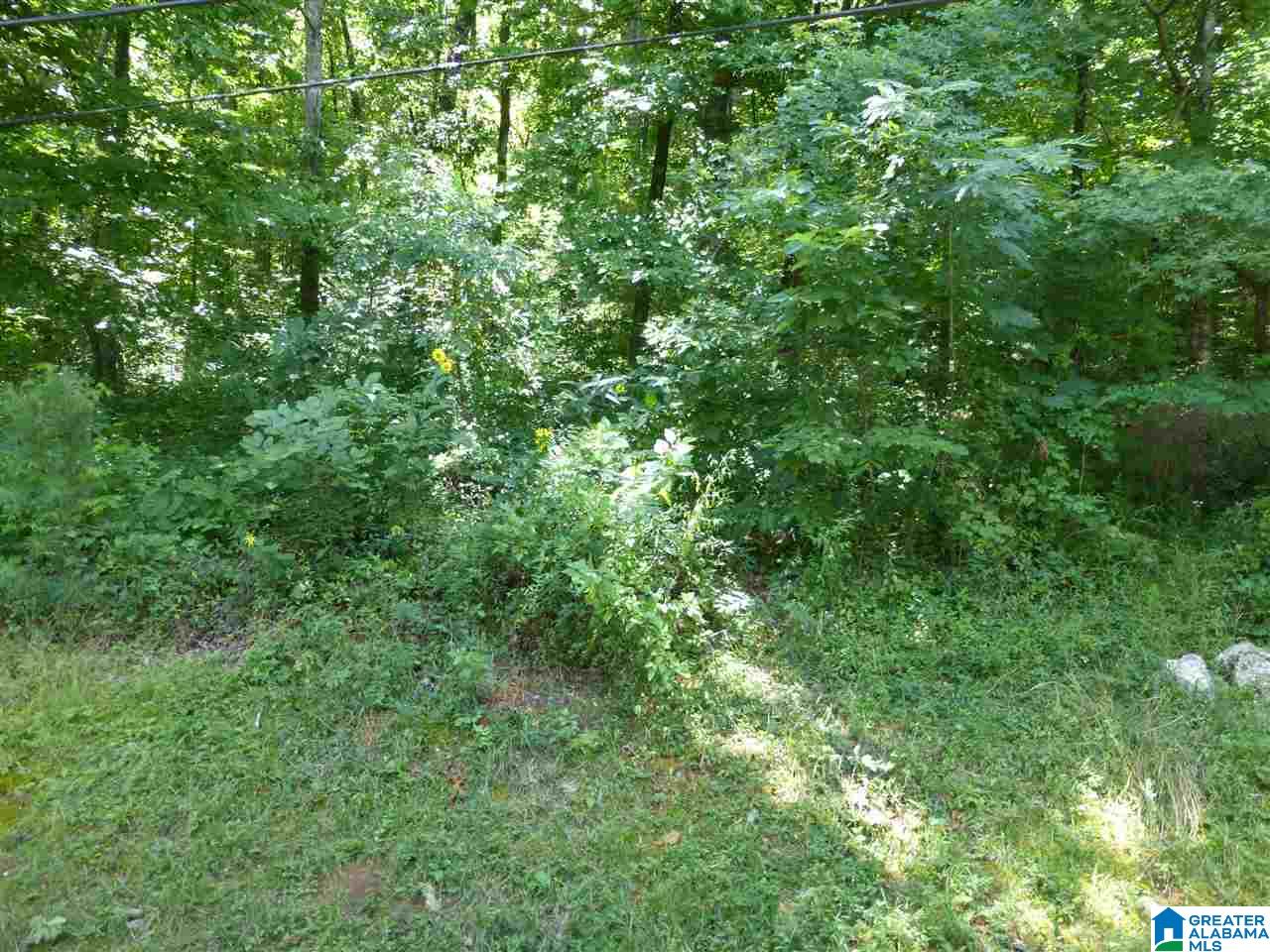 4470 Spring Creek Road Montevallo, AL 35115 - Photo 26 of 33 Gallery Image 26