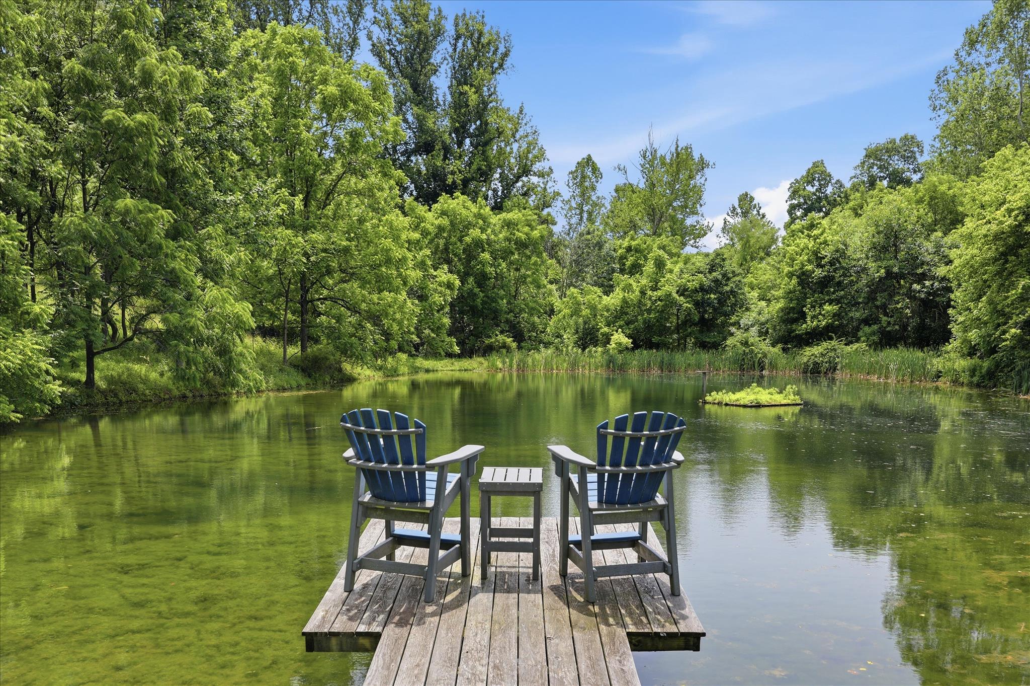 10919 Etzler Mill Road Woodsboro, MD 21798 - Photo 40 of 54 a view of a lake with table and chairs under an umbrella
