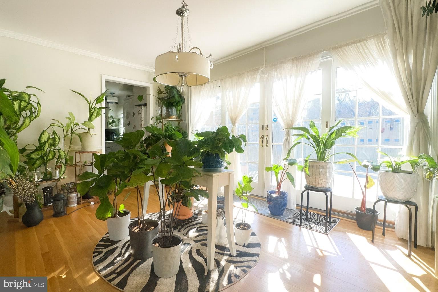 3201 Castleleigh Road Silver Spring, MD 20904 - Photo 3 of 22