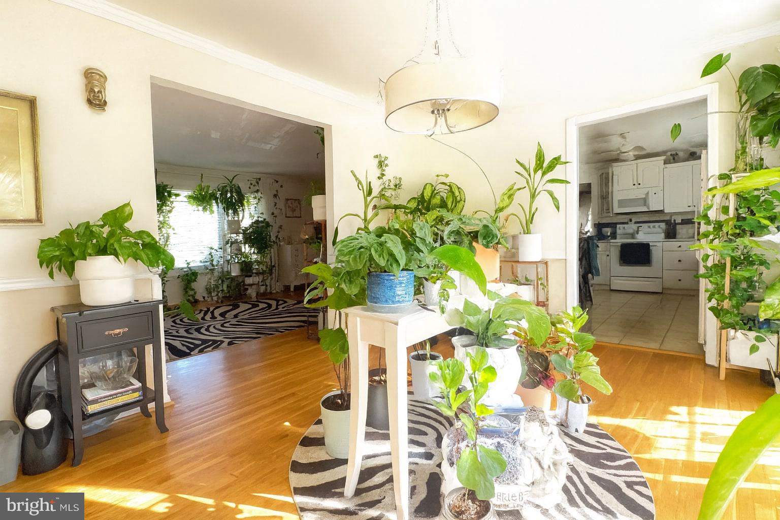 3201 Castleleigh Road Silver Spring, MD 20904 - Photo 4 of 22