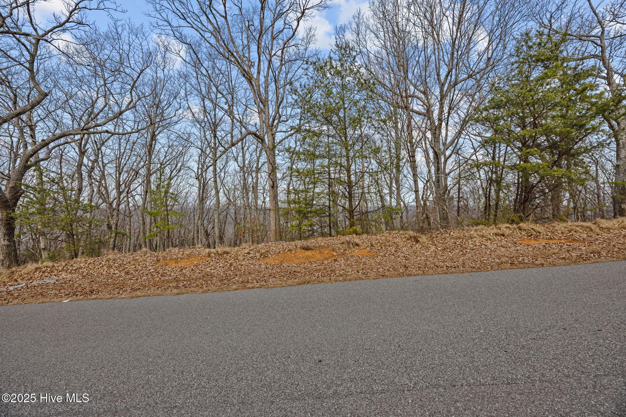 2389 Sierra Trace Road Denton, NC 27239 - Photo 2 of 27 28-web-or-mls-2389 Seirra Trace Rd EXT01