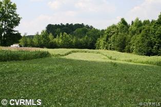 1075 East Orgainsville Road Red Oak, VA 23964 - Photo 1 of 10 Land - Dove Field