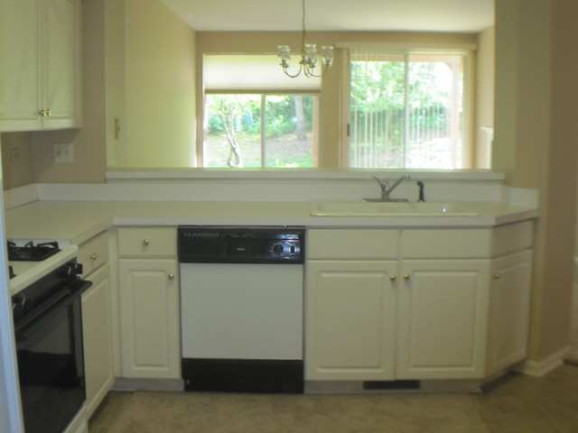 1031 Ripple Ridge, Unit 1031 Darien, IL 60561 - Photo 8 of 18