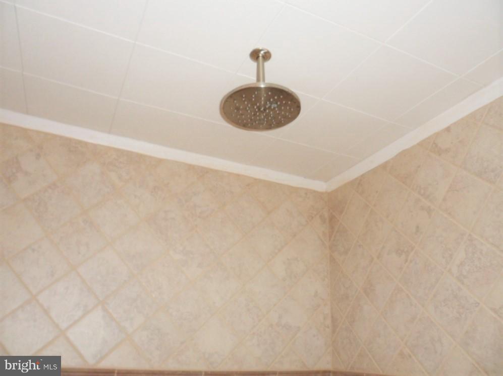 192 Trail Road Hershey, PA 17033 - Photo 20 of 31 Rain shower head