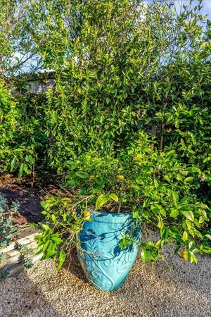 $32,500 | 645 Oak Street, Laguna Beach, CA 92651