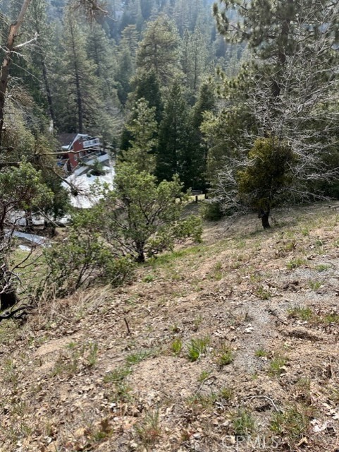 818 Berne Crestline, CA 92325 - Photo 2 of 6 a view of a dry yard with trees