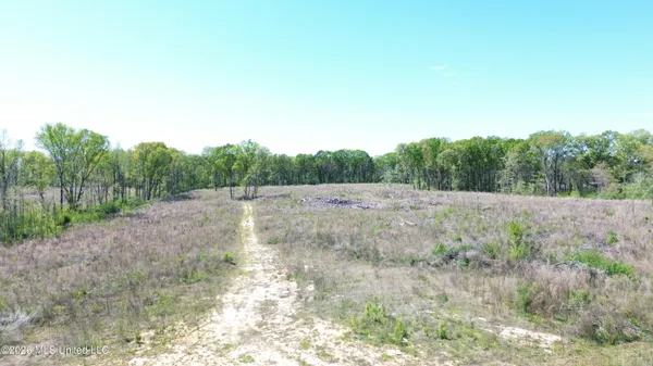 $99,500 | Pettey Road, Forest, MS 39074