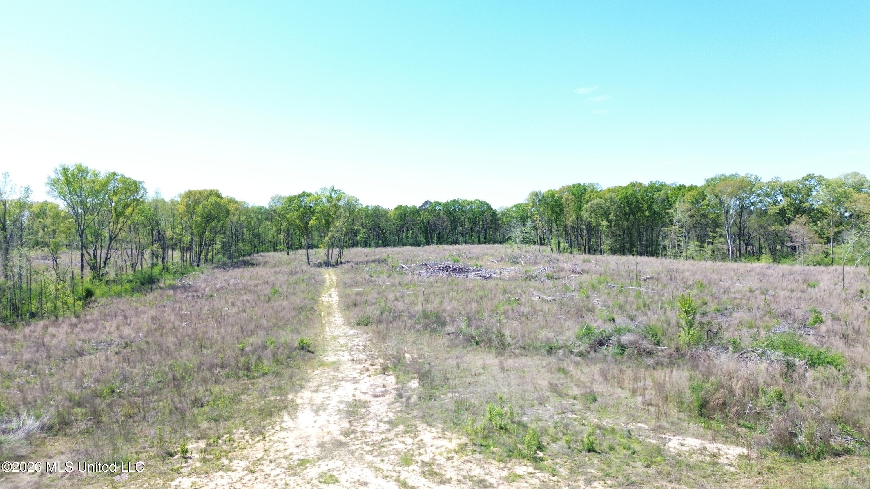Pettey Road Forest, MS 39074 - Photo 1 of 4 DJI_0588