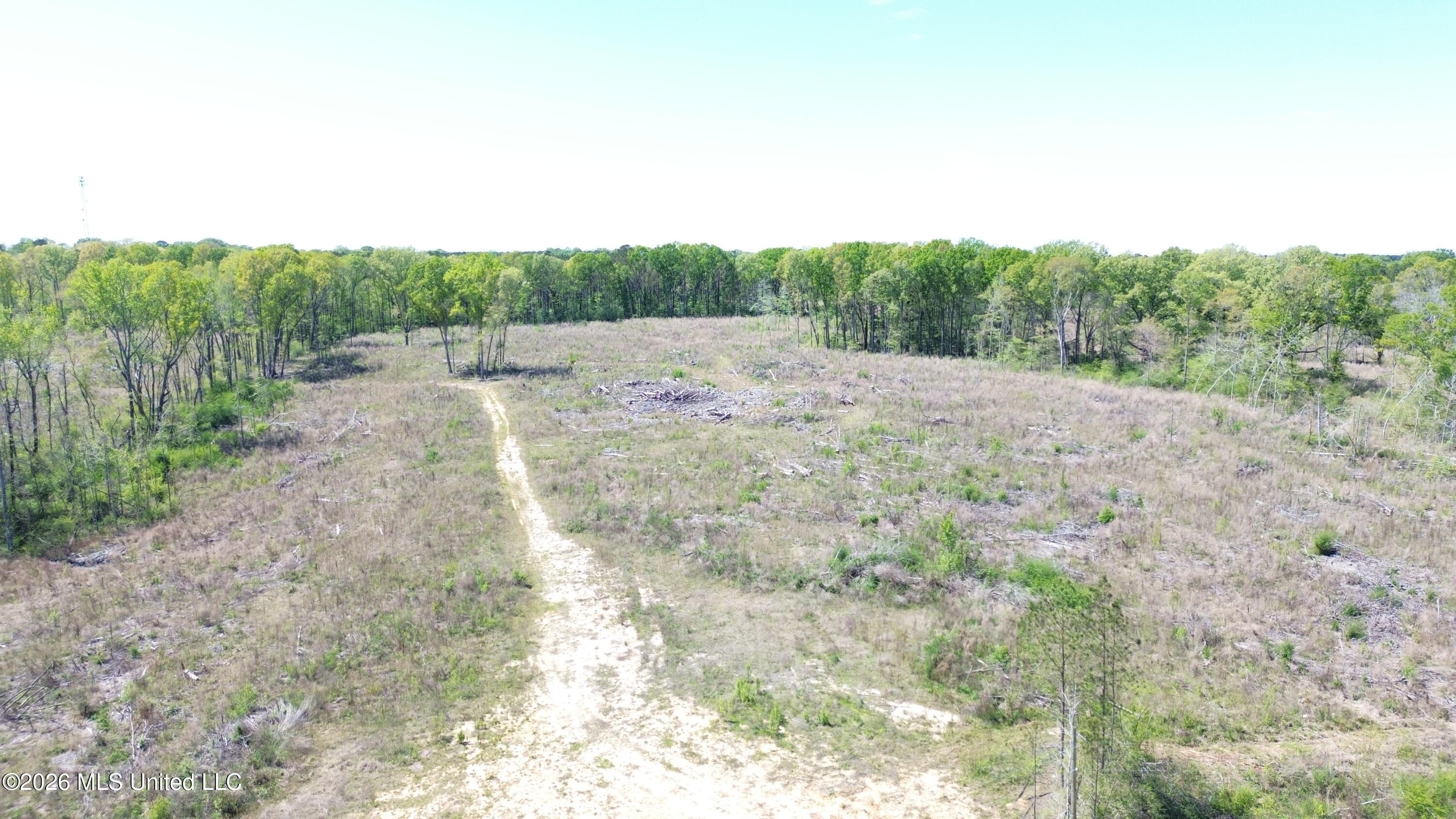 Pettey Road Forest, MS 39074 - Photo 2 of 4 DJI_0590