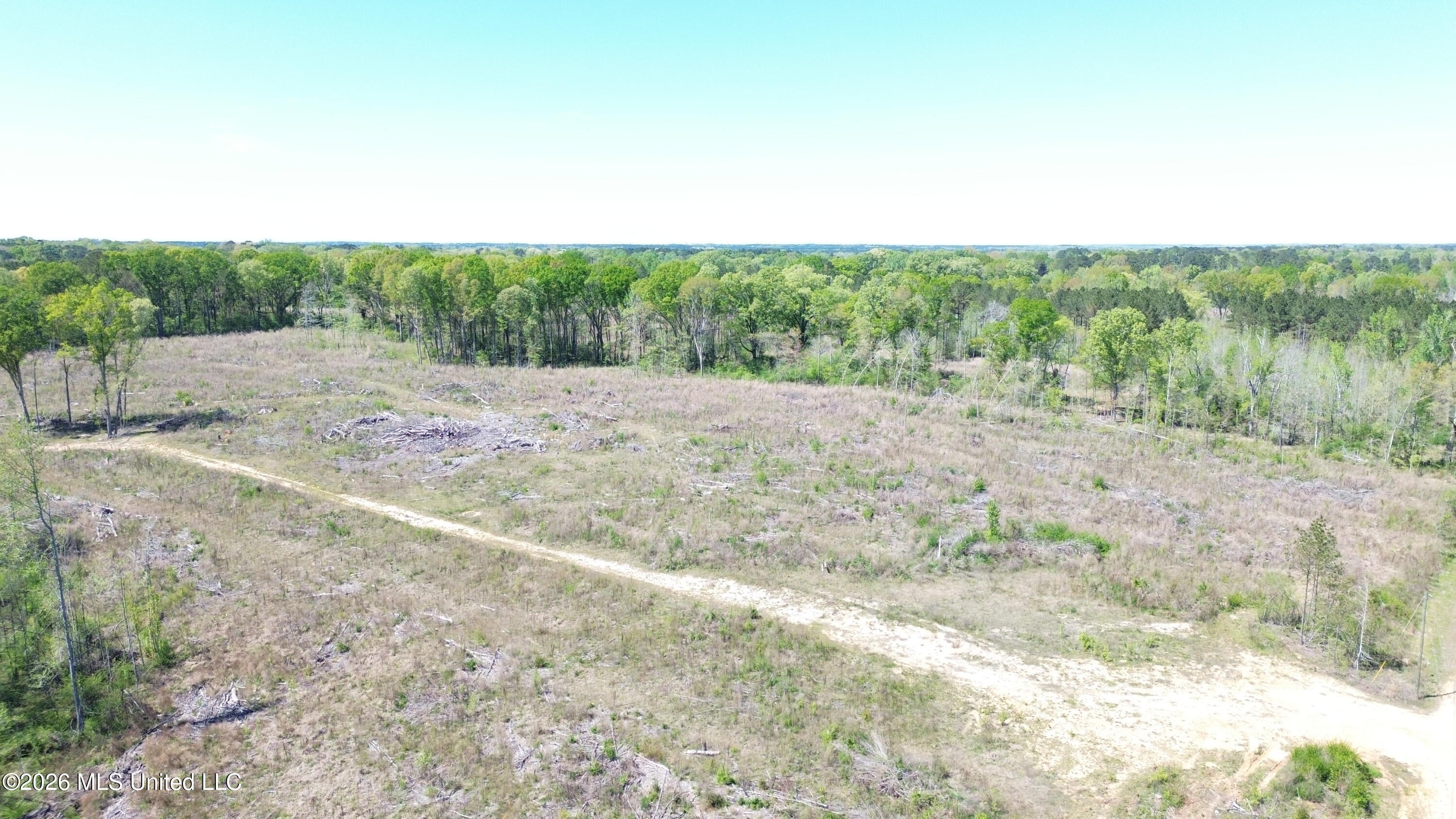 Pettey Road Forest, MS 39074 - Photo 4 of 4 DJI_0596