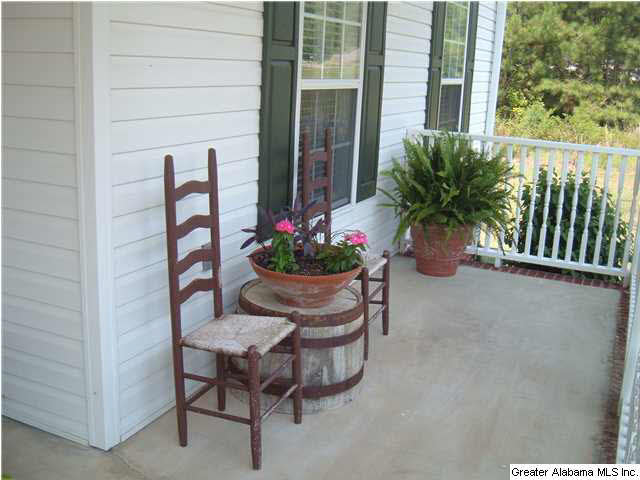 6360 Mays Bend Road Pell City, AL 35128 - Photo 2 of 29
