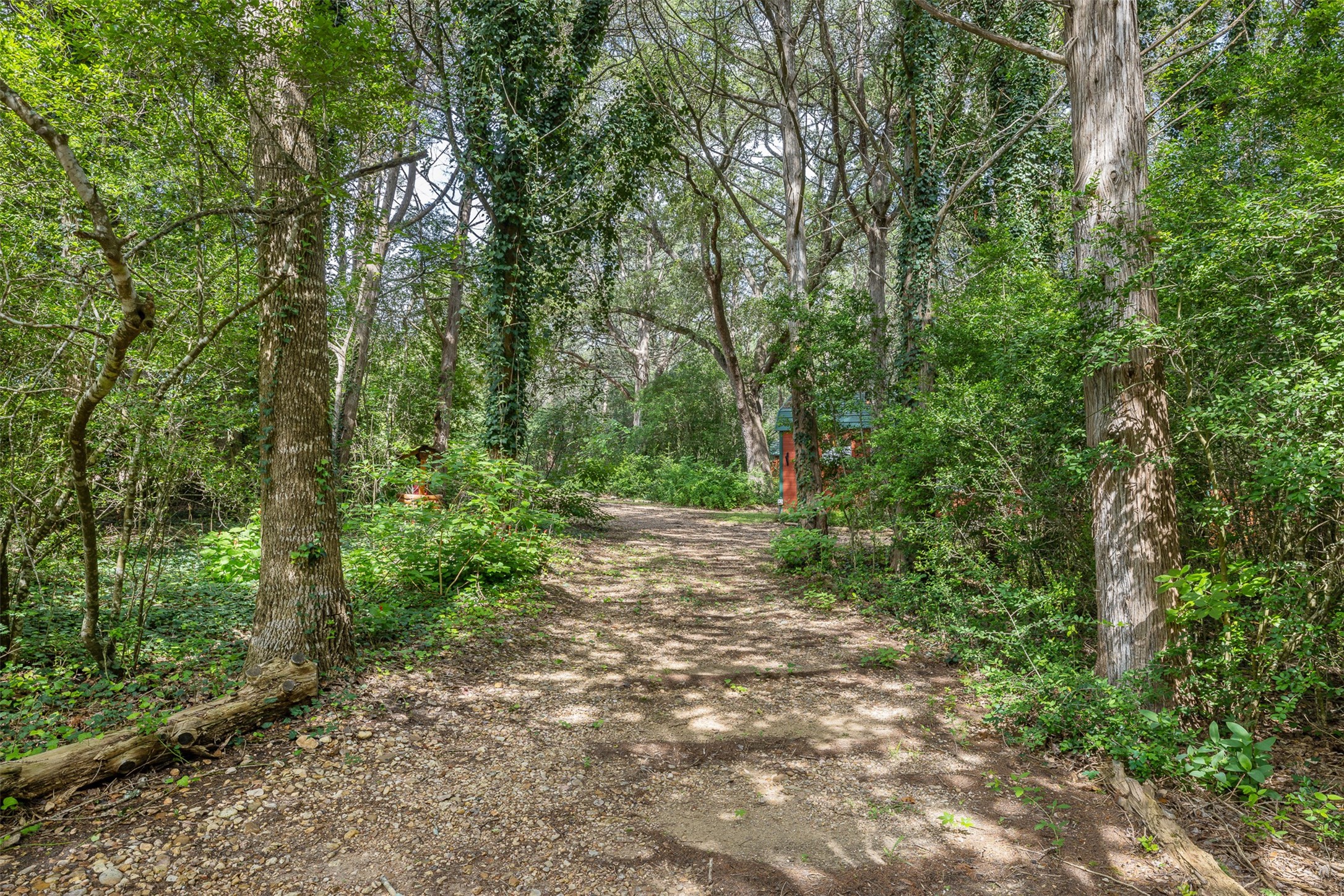 10900 Mayer Cemetery Road Burton, TX 77835 - Photo 11 of 24 a view of outdoor space and trees all around