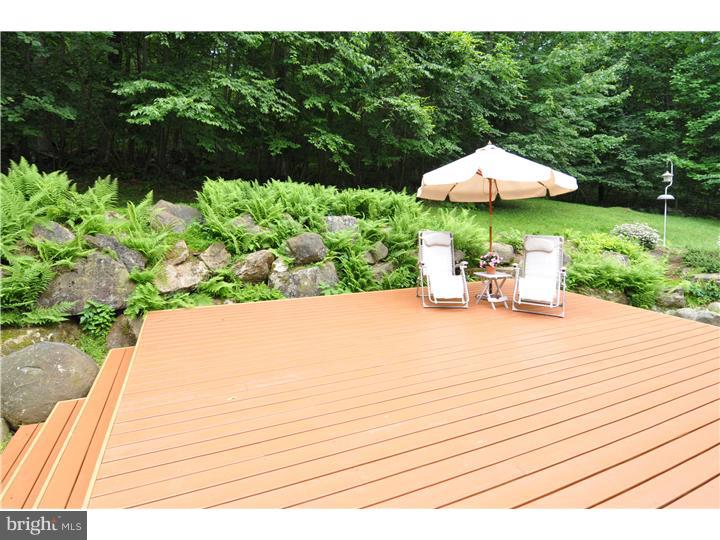 2828 Deep Creek Road Green Lane, PA 18054 - Photo 23 of 25 Deck