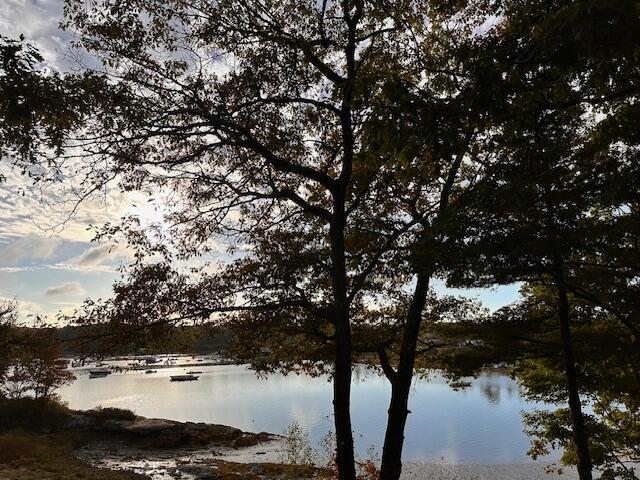 65 Northern Point Road Round Pond, ME 04564 - Photo 42 of 93 IMG_4748