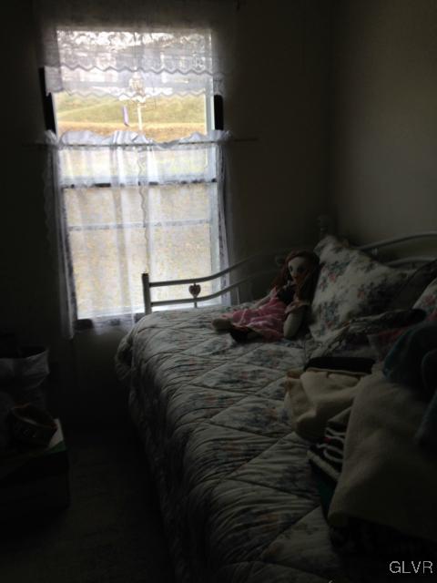 214 Molly Pitcher Road Mount Bethel, PA 18343 - Photo 8 of 11 Second bedroom