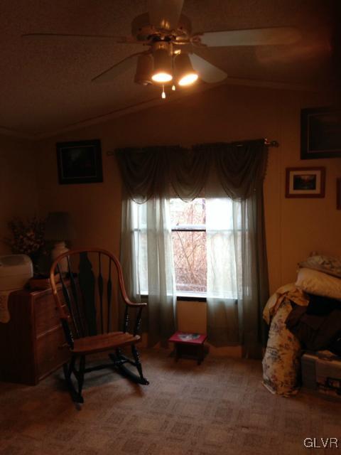 214 Molly Pitcher Road Mount Bethel, PA 18343 - Photo 9 of 11 Vaulted ceiling main bedroom