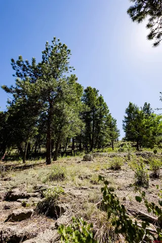 a bedroom with a bed dresser and a large window