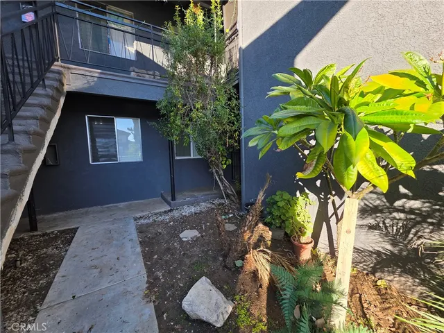 a house with a plant in front of it