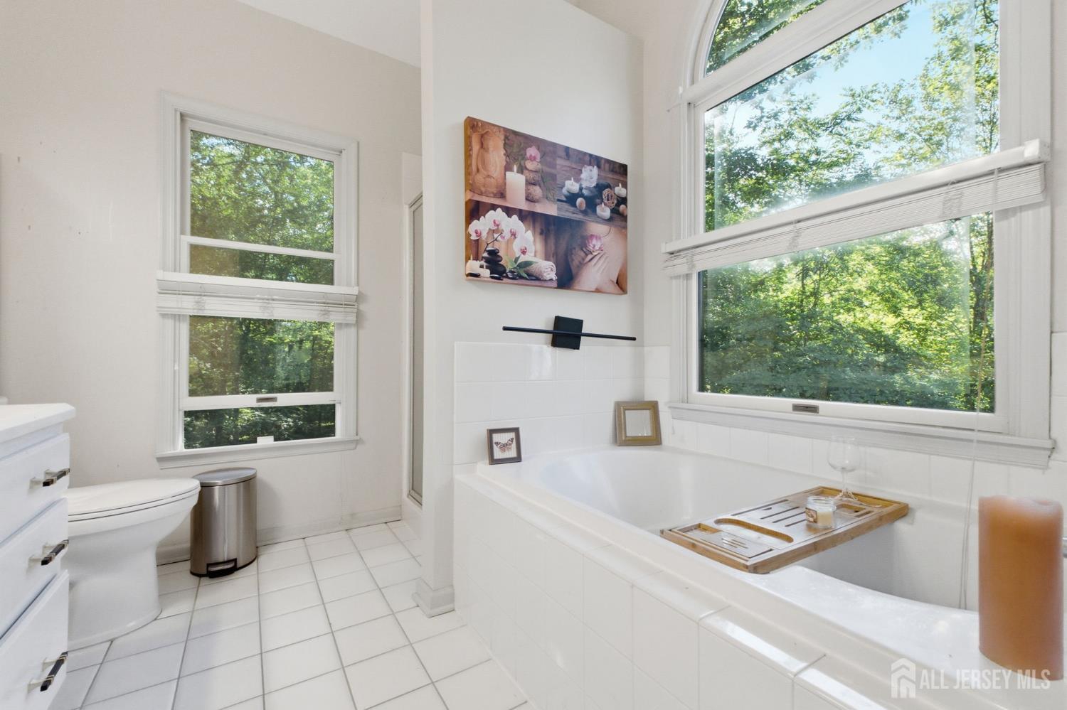 113 Oakdale Road Chester, NJ 07930 - Photo 37 of 47 Gallery Image 37