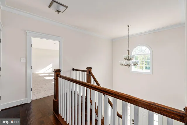 a view of a house with a yard and a large tree