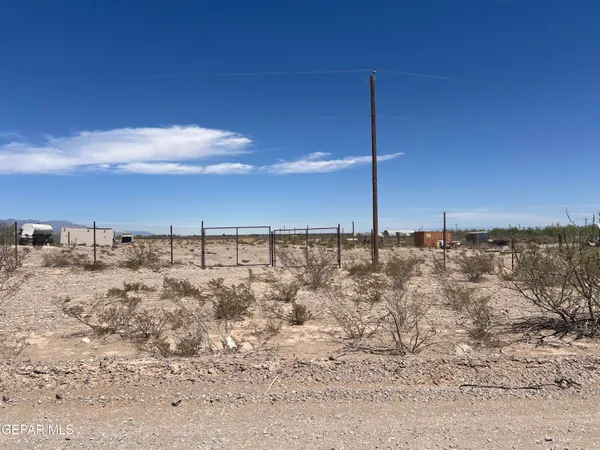 a view of a dry yard